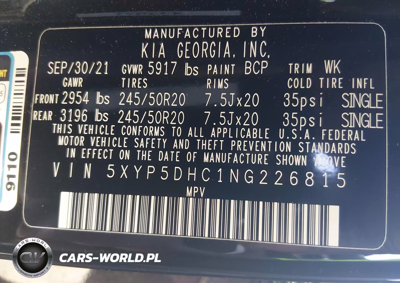 2022 Kia Telluride Sx VIN:5XYP5DHC1NG226815 - 9
