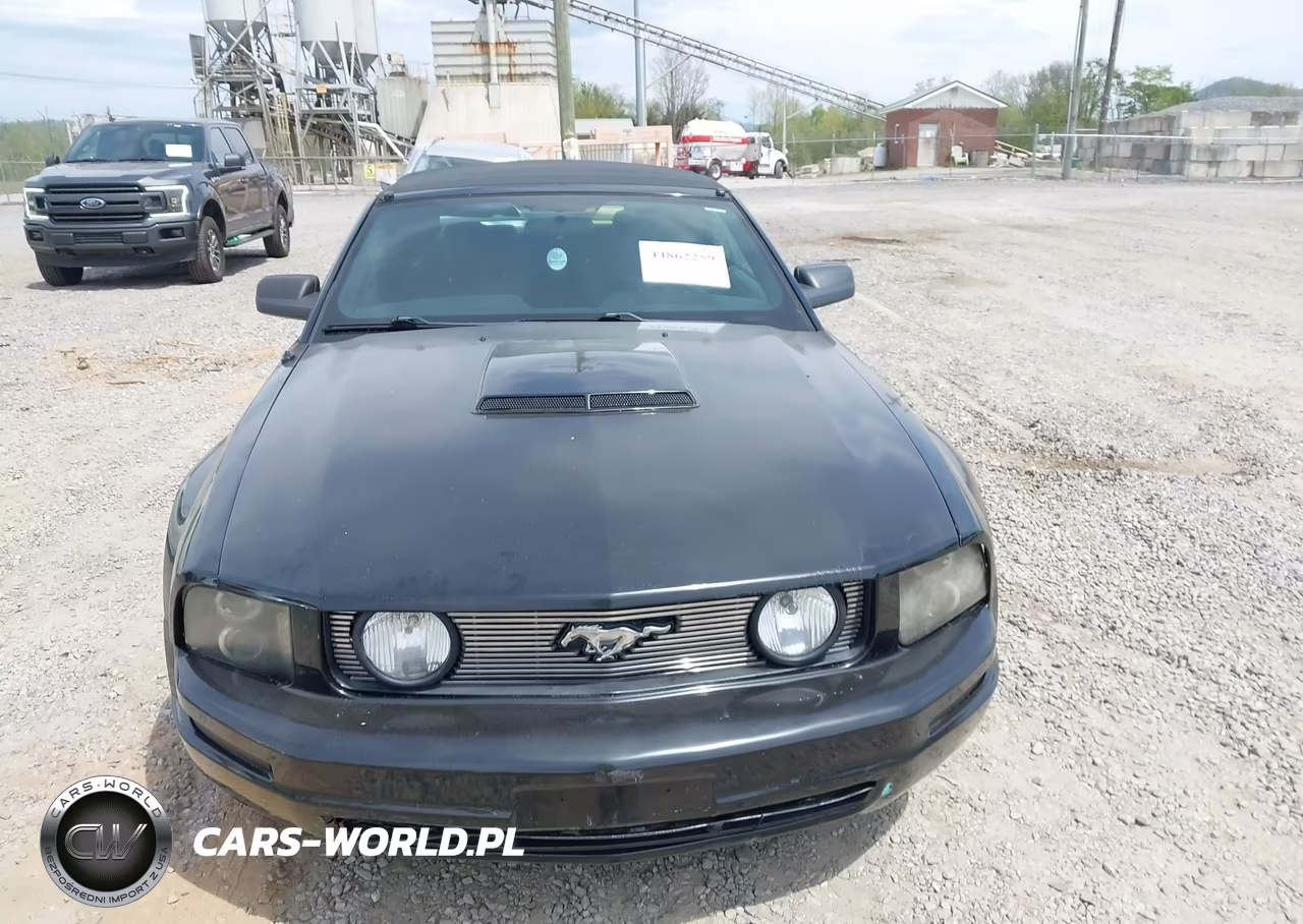 2006 Ford Mustang Gt VIN:1ZVHT85H265163202 - 12