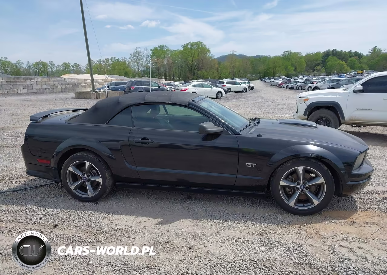 2006 Ford Mustang Gt VIN:1ZVHT85H265163202 - 13