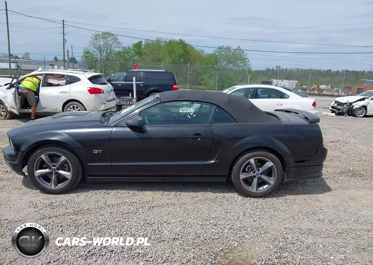 2006 Ford Mustang Gt VIN:1ZVHT85H265163202 - 14