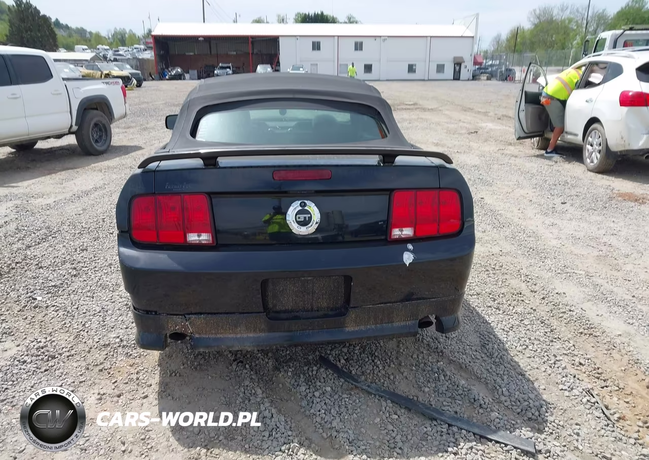 2006 Ford Mustang Gt VIN:1ZVHT85H265163202 - 16