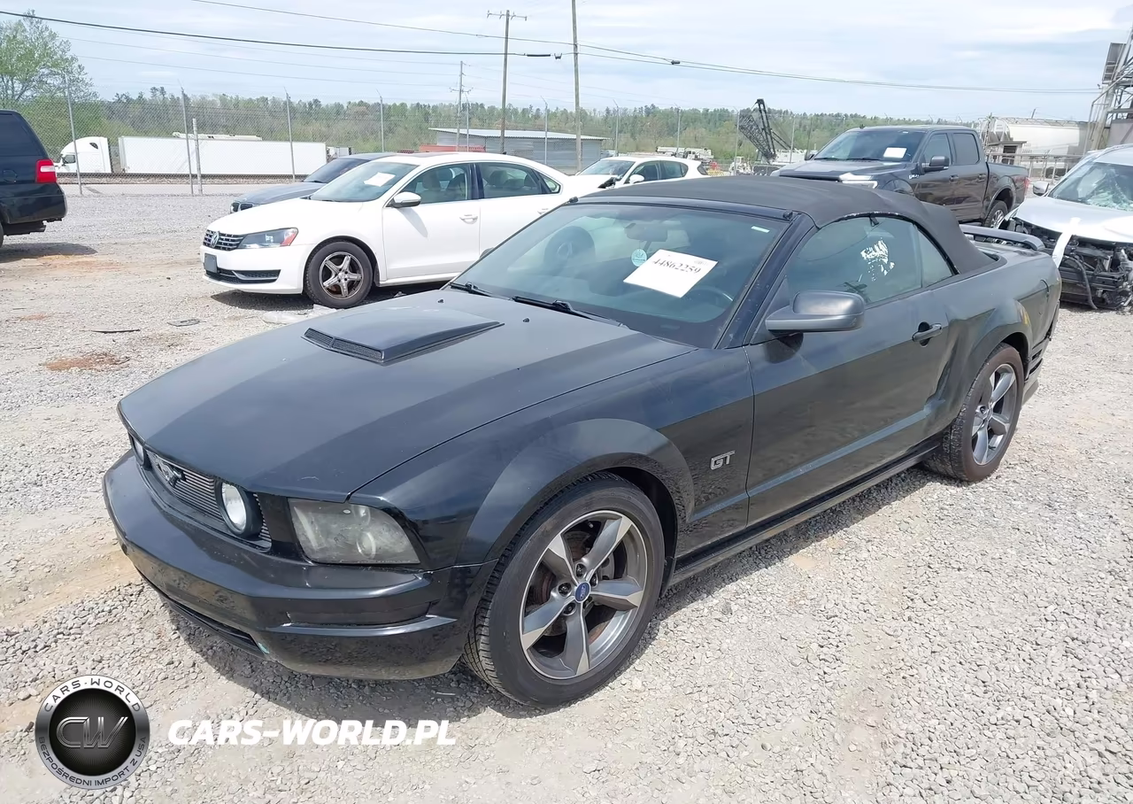 2006 Ford Mustang Gt VIN:1ZVHT85H265163202 - 2