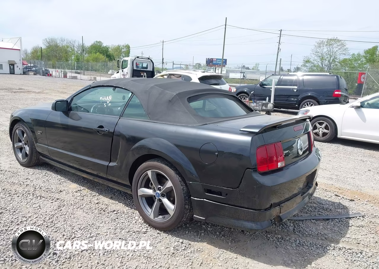2006 Ford Mustang Gt VIN:1ZVHT85H265163202 - 3