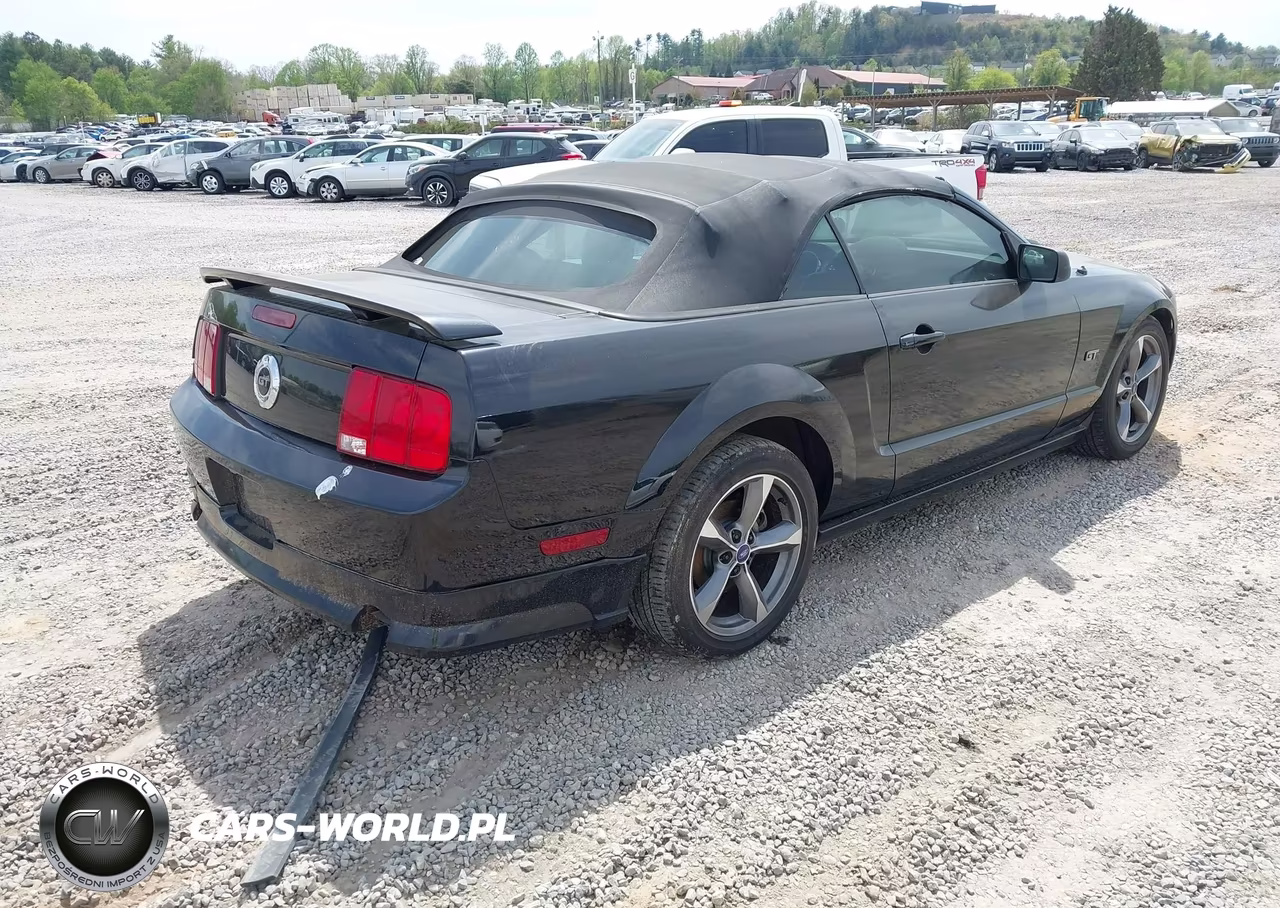 2006 Ford Mustang Gt VIN:1ZVHT85H265163202 - 4