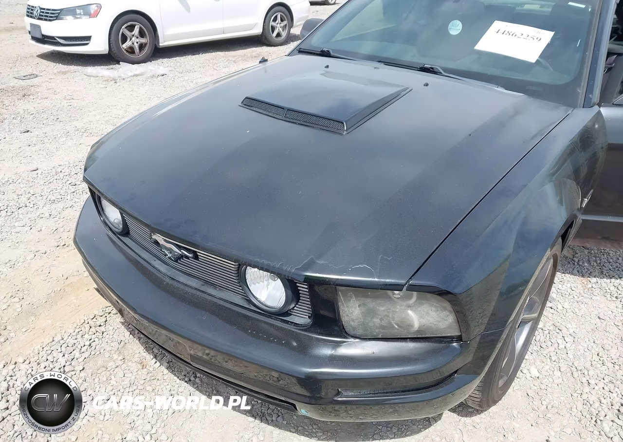 2006 Ford Mustang Gt VIN:1ZVHT85H265163202 - 6