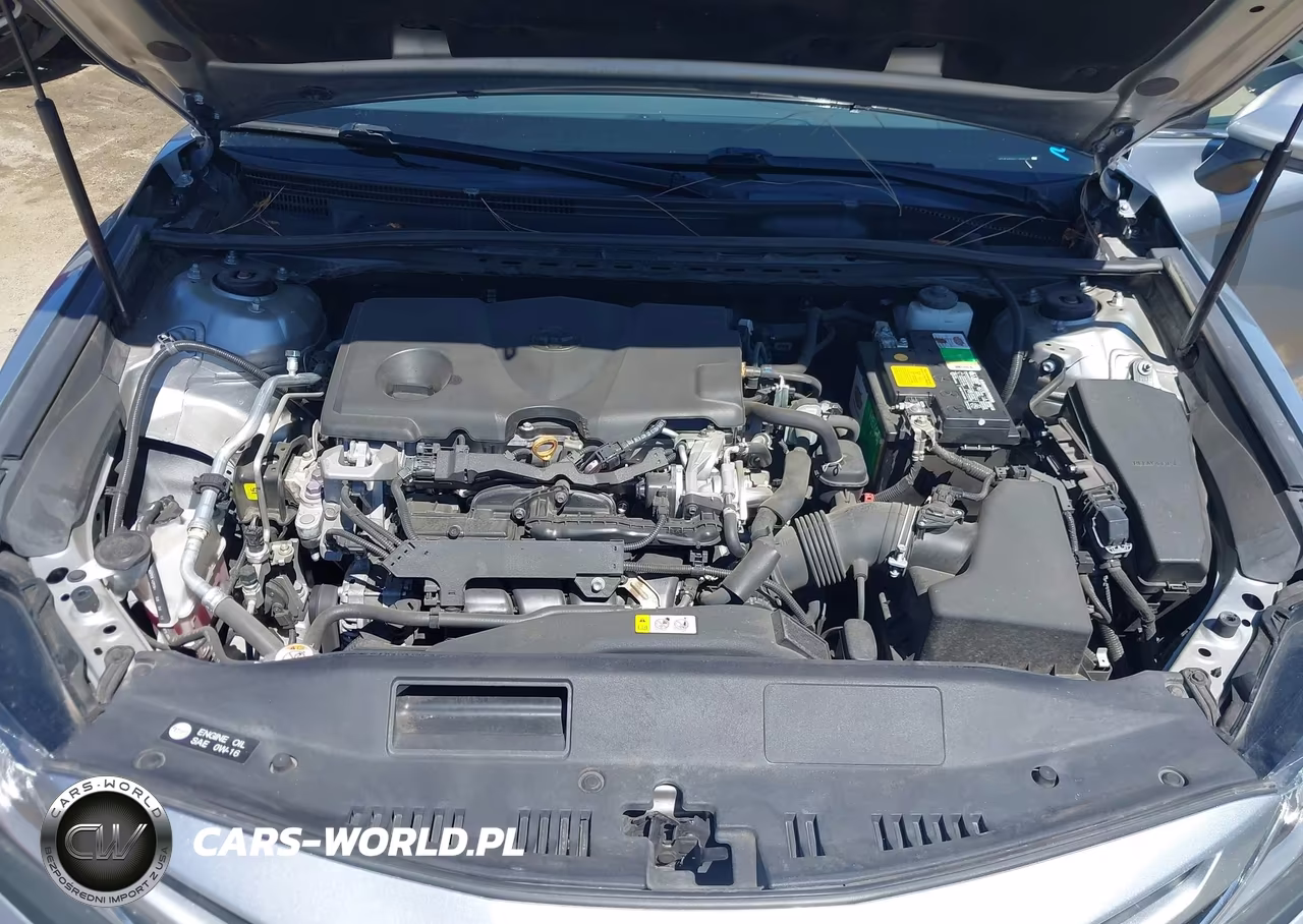 2020 Toyota Camry Se VIN:4T1G11AK4LU923124 - 10