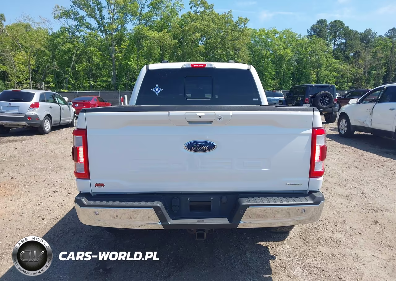 2022 Ford F-150 Lariat VIN:1FTEW1EP2NFA52511 - 17