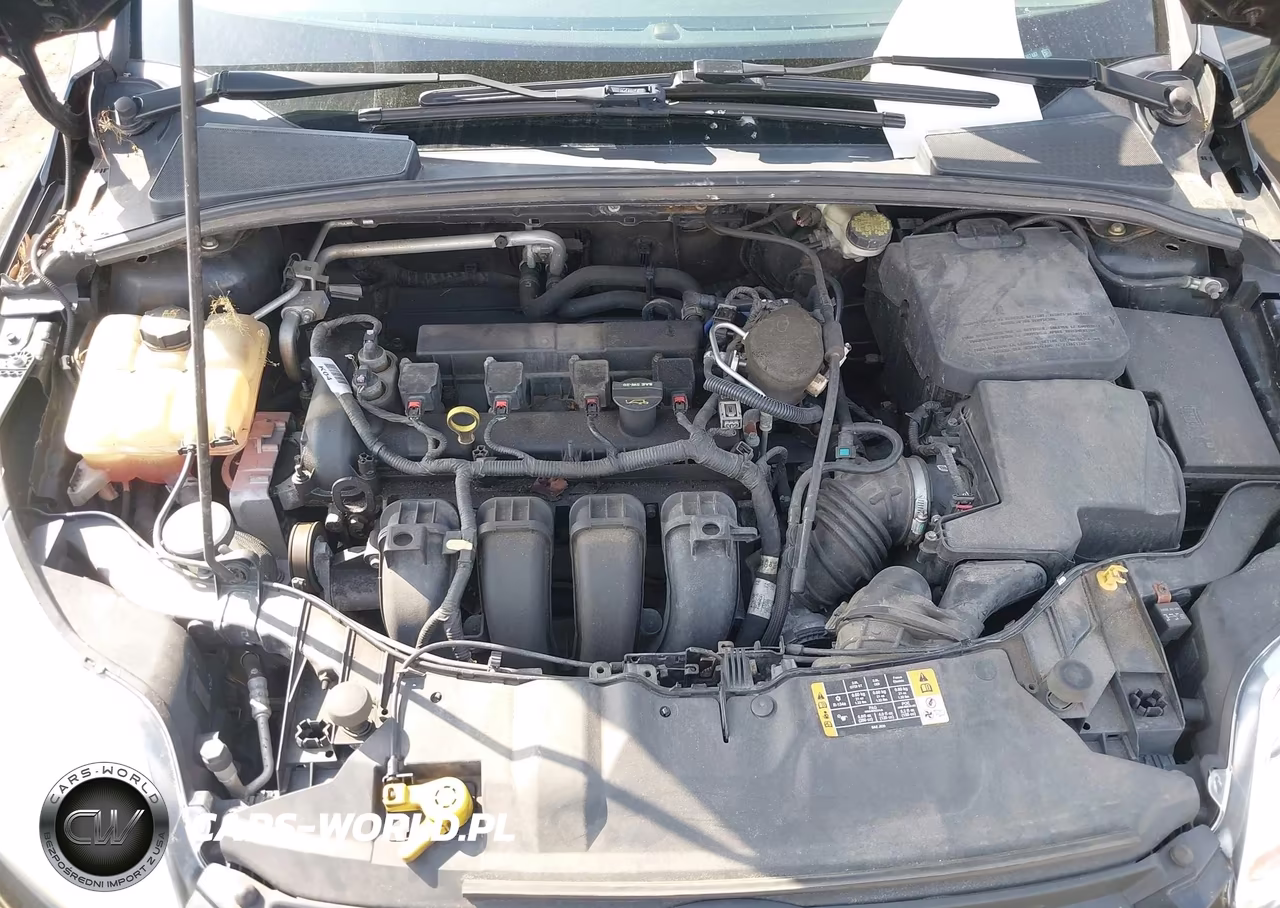 2014 Ford Focus Se VIN:1FADP3K28EL307487 - 10
