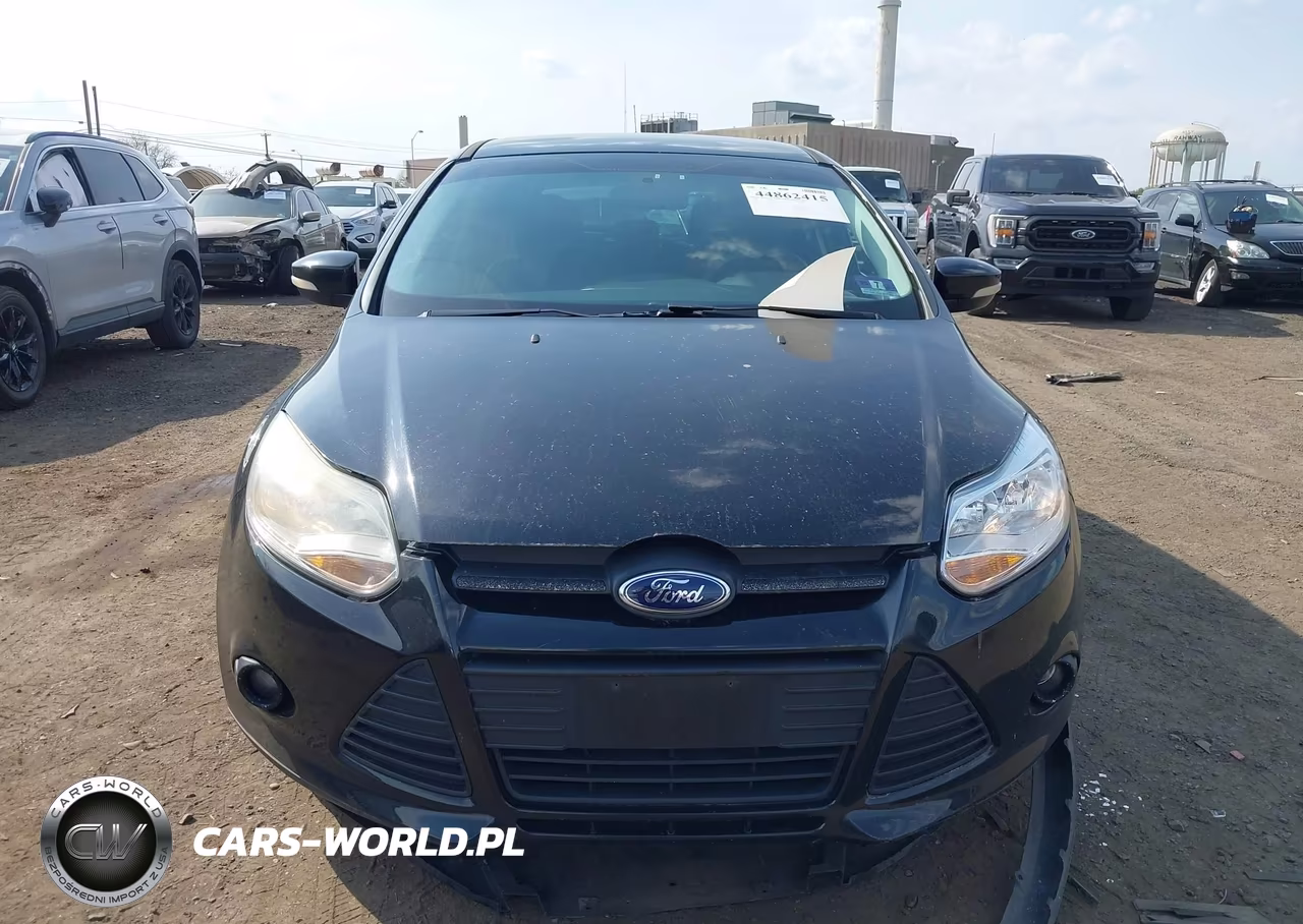2014 Ford Focus Se VIN:1FADP3K28EL307487 - 12