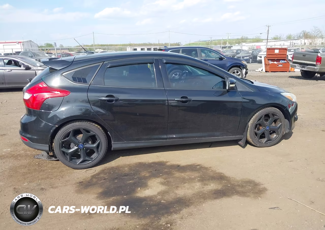 2014 Ford Focus Se VIN:1FADP3K28EL307487 - 13