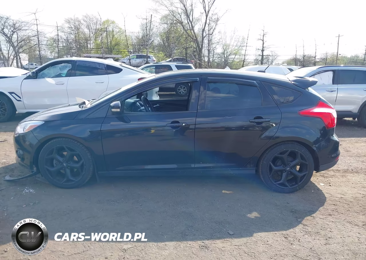2014 Ford Focus Se VIN:1FADP3K28EL307487 - 14