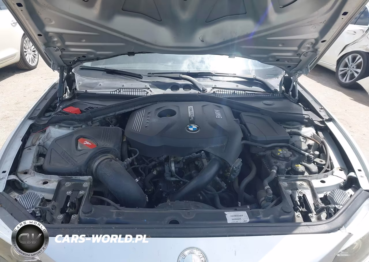 2018 BMW 230I VIN:WBA2J1C51JVD09550 - 10