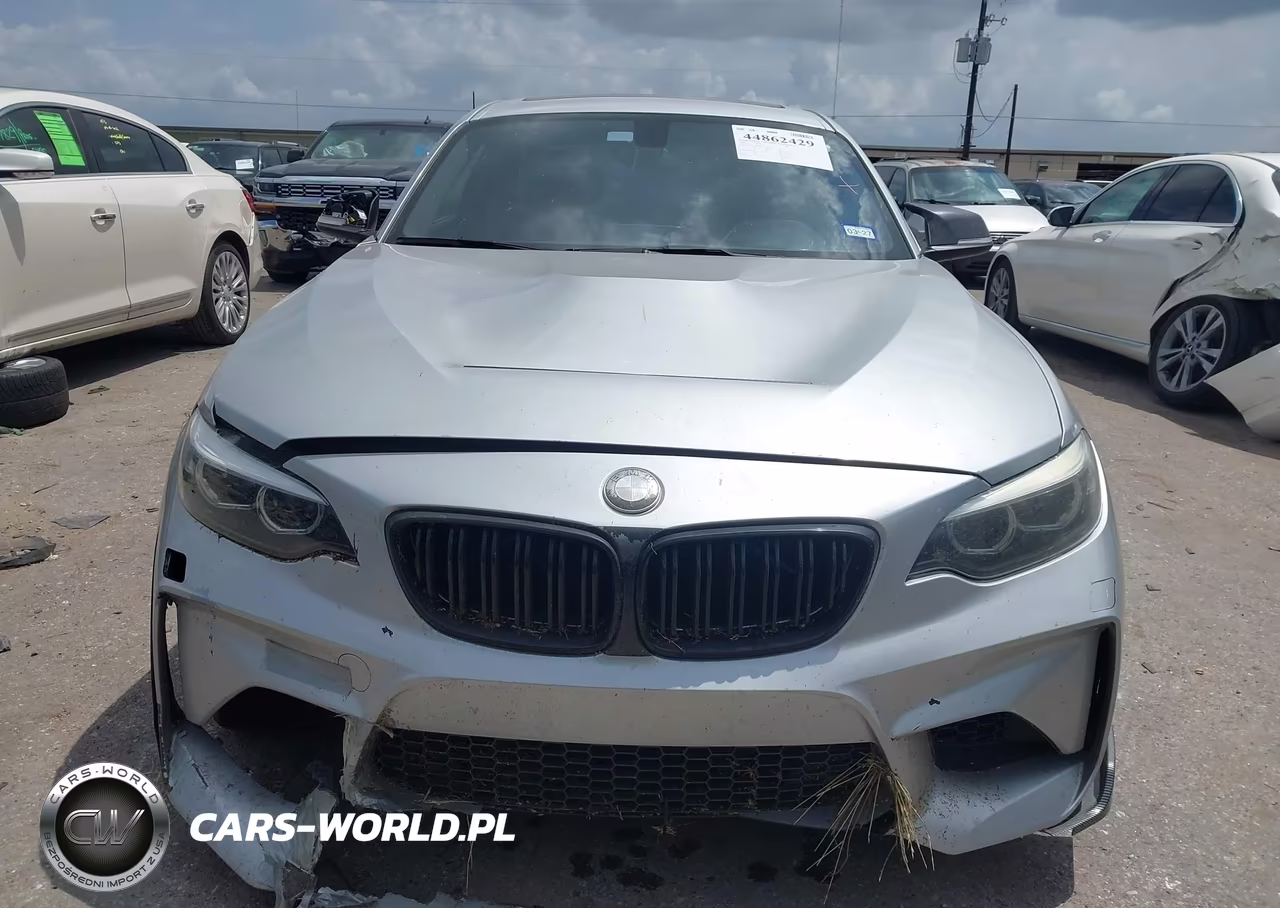2018 BMW 230I VIN:WBA2J1C51JVD09550 - 12