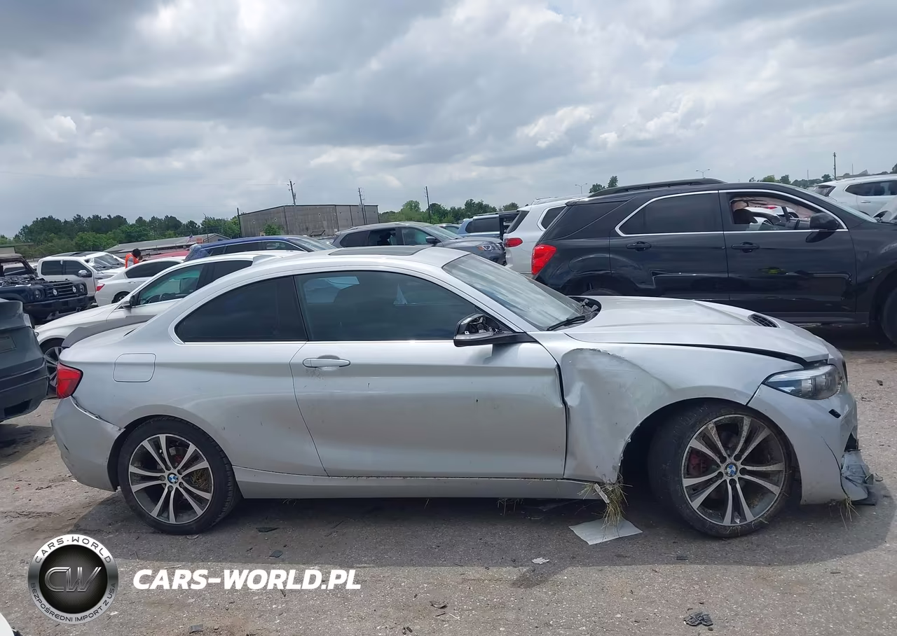 2018 BMW 230I VIN:WBA2J1C51JVD09550 - 13