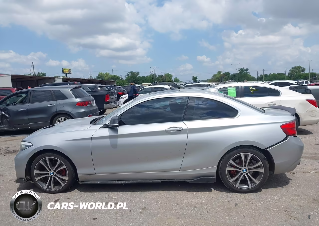 2018 BMW 230I VIN:WBA2J1C51JVD09550 - 14