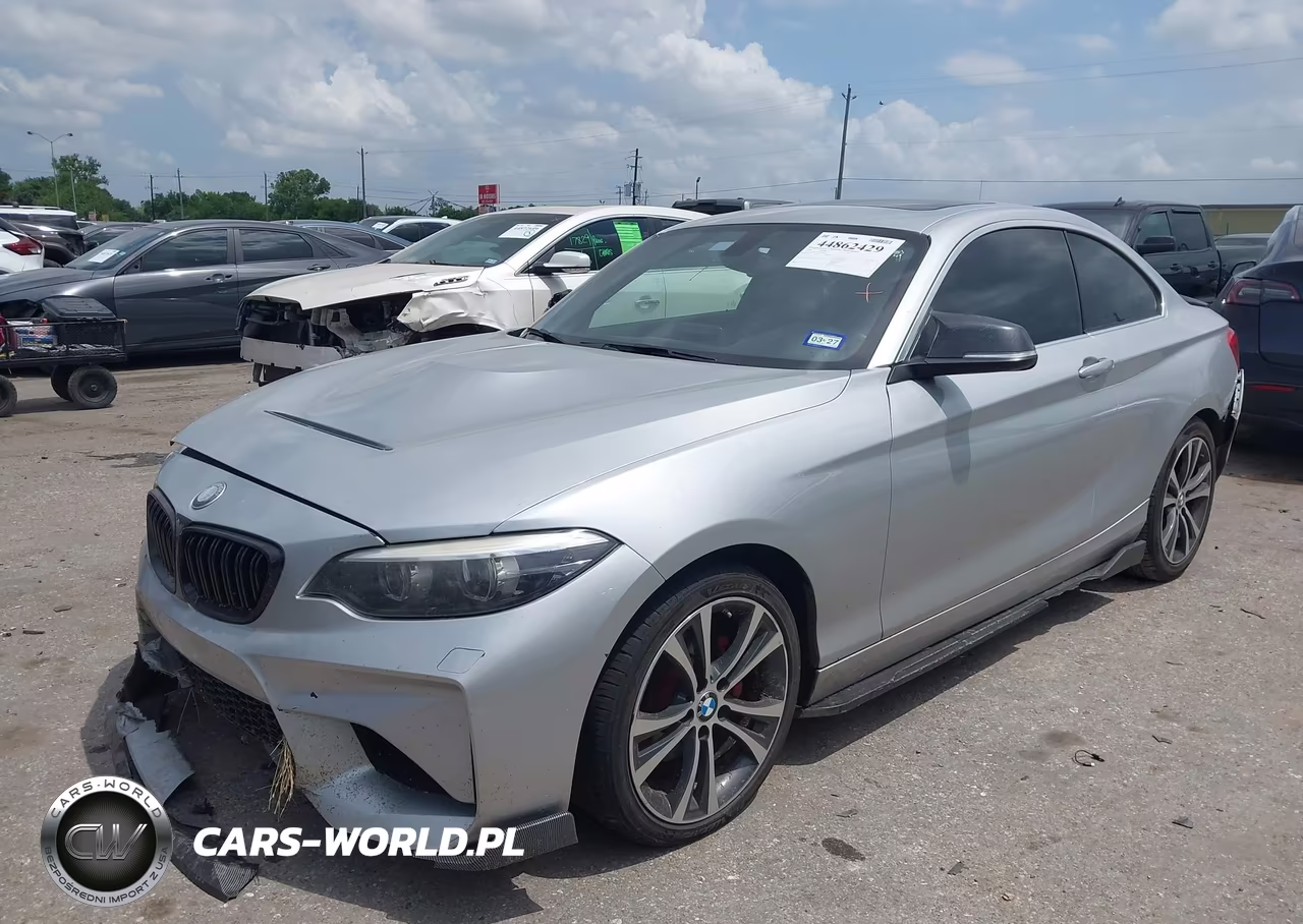 2018 BMW 230I VIN:WBA2J1C51JVD09550 - 2