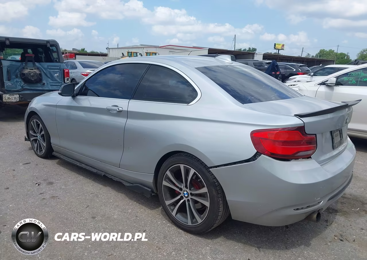 2018 BMW 230I VIN:WBA2J1C51JVD09550 - 3