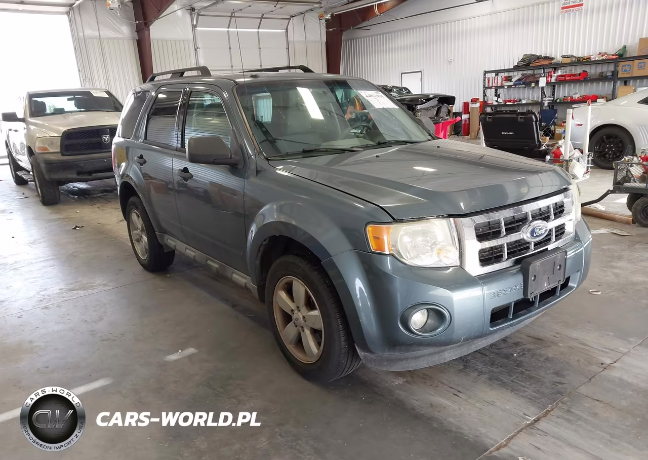 2010 Ford Escape Xlt