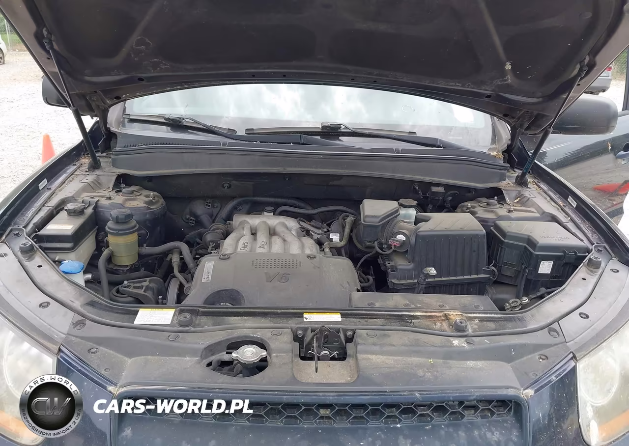 2009 Hyundai Santa Fe Gls VIN:5NMSG13D29H326484 - 10
