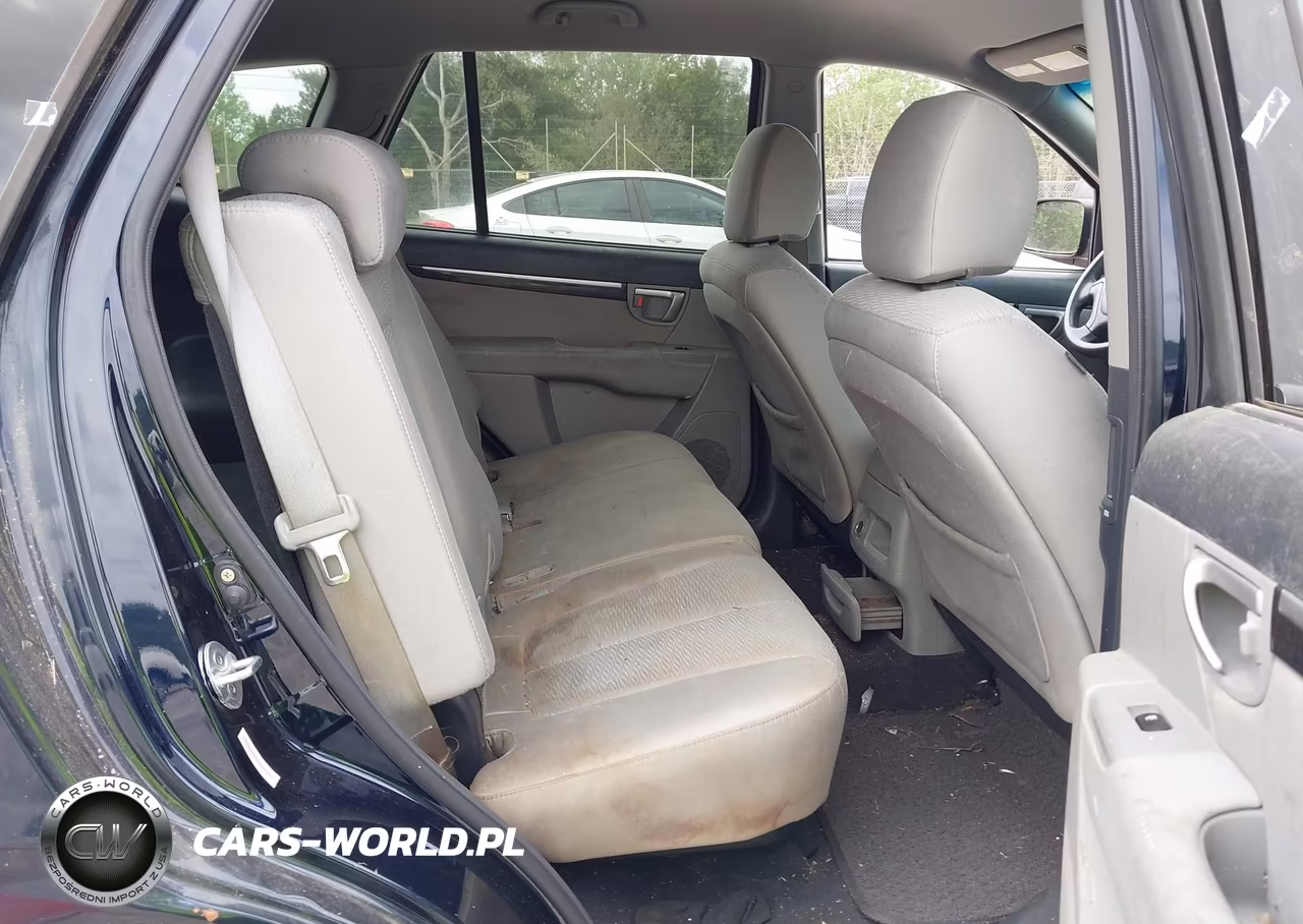 2009 Hyundai Santa Fe Gls VIN:5NMSG13D29H326484 - 8