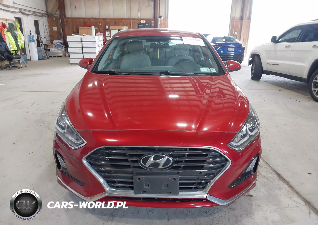 2019 Hyundai Sonata Se VIN:5NPE24AF7KH798268 - 12
