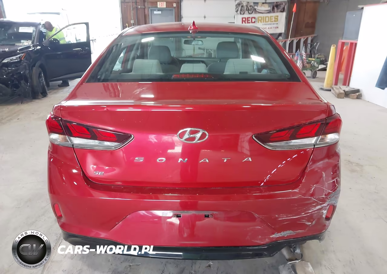 2019 Hyundai Sonata Se VIN:5NPE24AF7KH798268 - 16