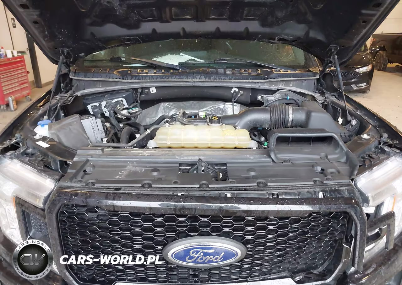 2019 Ford F-150 Xl VIN:1FTEW1EP5KFB95545 - 10