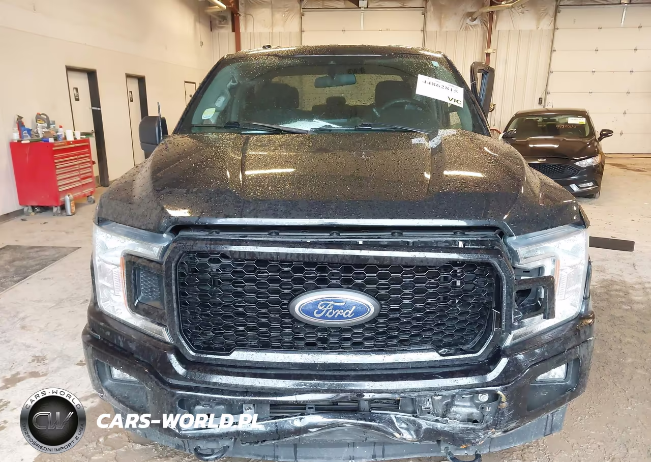 2019 Ford F-150 Xl VIN:1FTEW1EP5KFB95545 - 12