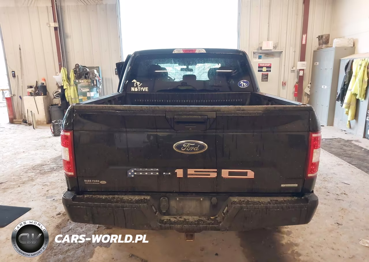 2019 Ford F-150 Xl VIN:1FTEW1EP5KFB95545 - 16