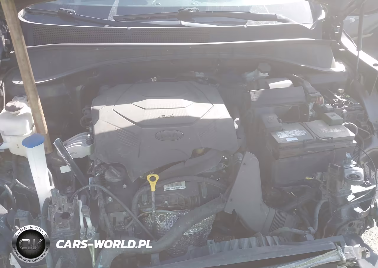 2019 Kia Sorento 3.3L Ex VIN:5XYPH4A53KG532056 - 10