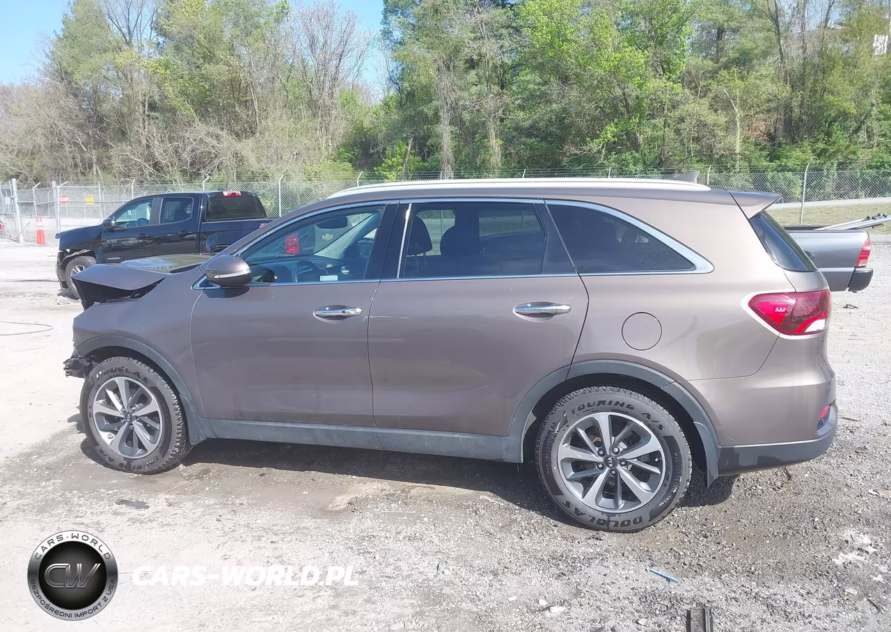 2019 Kia Sorento 3.3L Ex VIN:5XYPH4A53KG532056 - 14