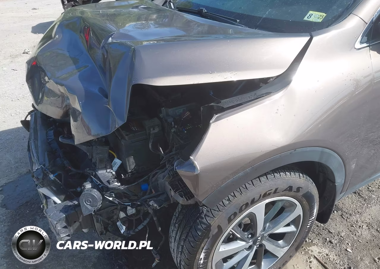 2019 Kia Sorento 3.3L Ex VIN:5XYPH4A53KG532056 - 17