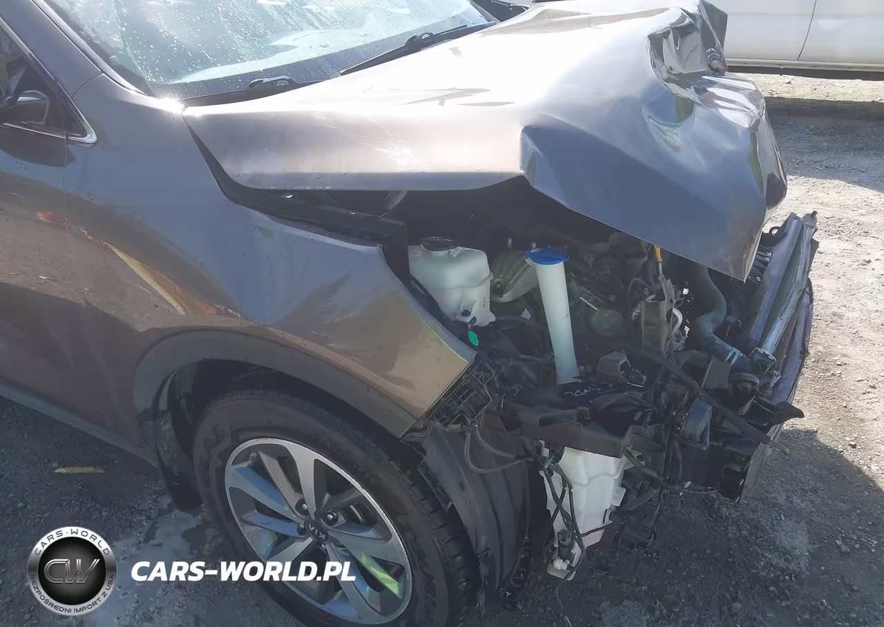2019 Kia Sorento 3.3L Ex VIN:5XYPH4A53KG532056 - 18