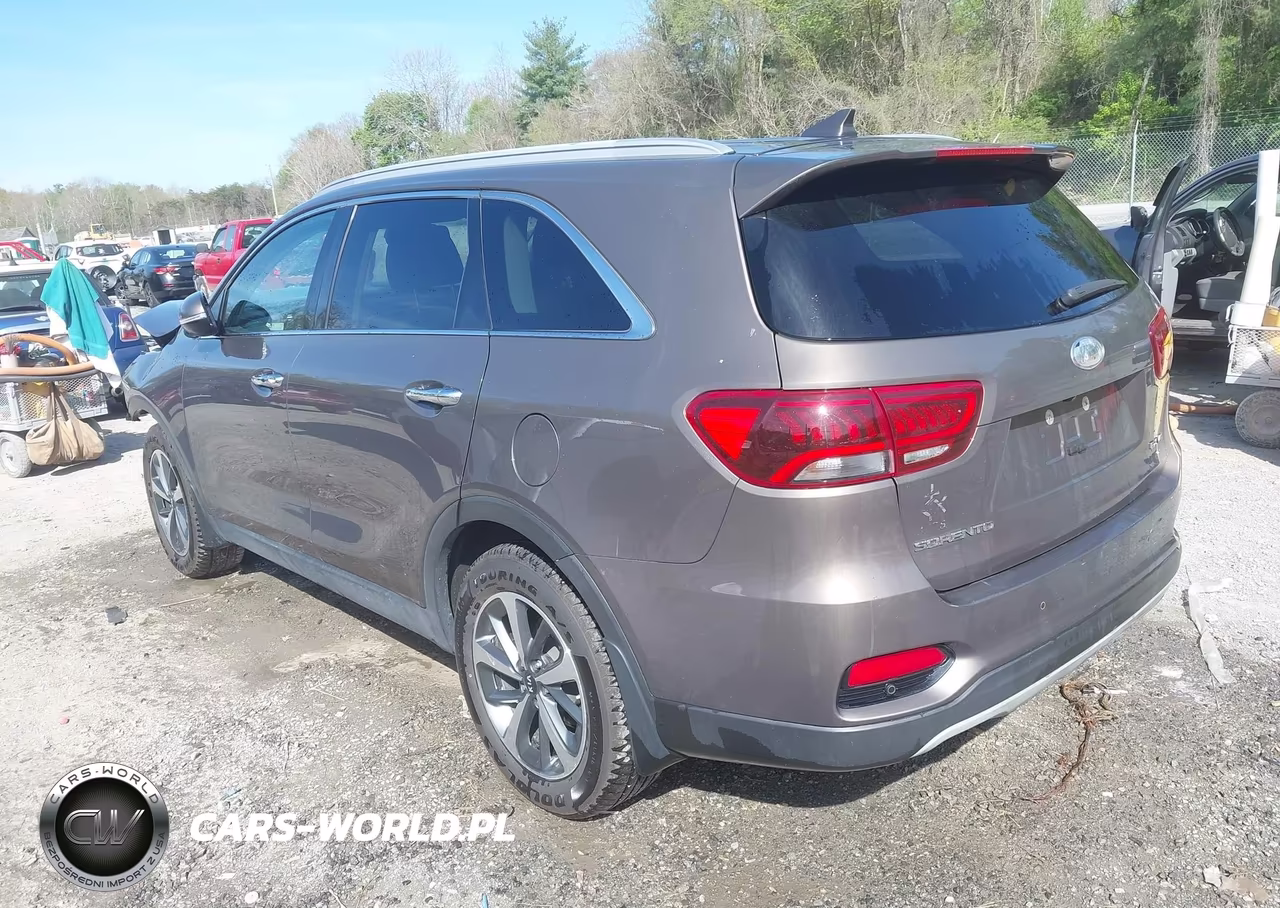 2019 Kia Sorento 3.3L Ex VIN:5XYPH4A53KG532056 - 3