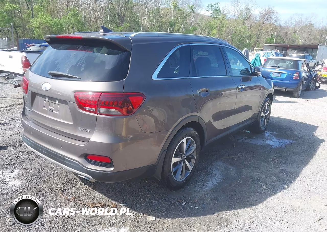 2019 Kia Sorento 3.3L Ex VIN:5XYPH4A53KG532056 - 4