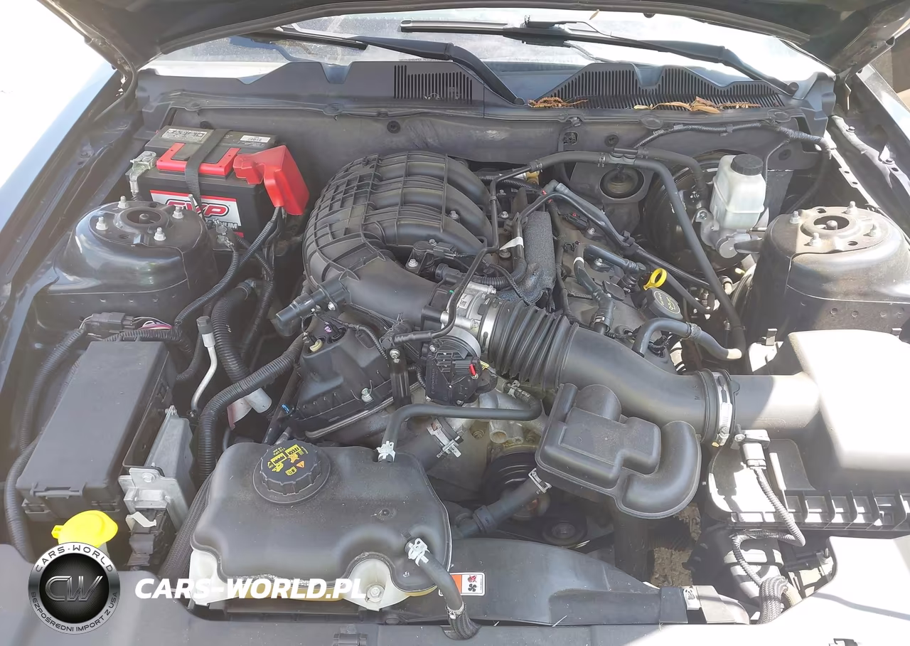2014 Ford Mustang V6 VIN:1ZVBP8AM5E5324444 - 10