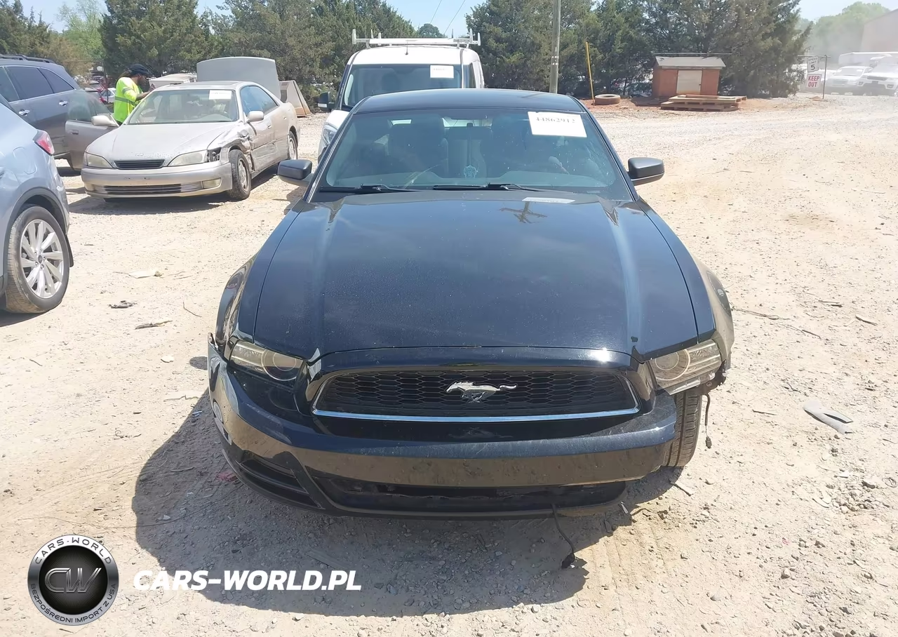 2014 Ford Mustang V6 VIN:1ZVBP8AM5E5324444 - 12