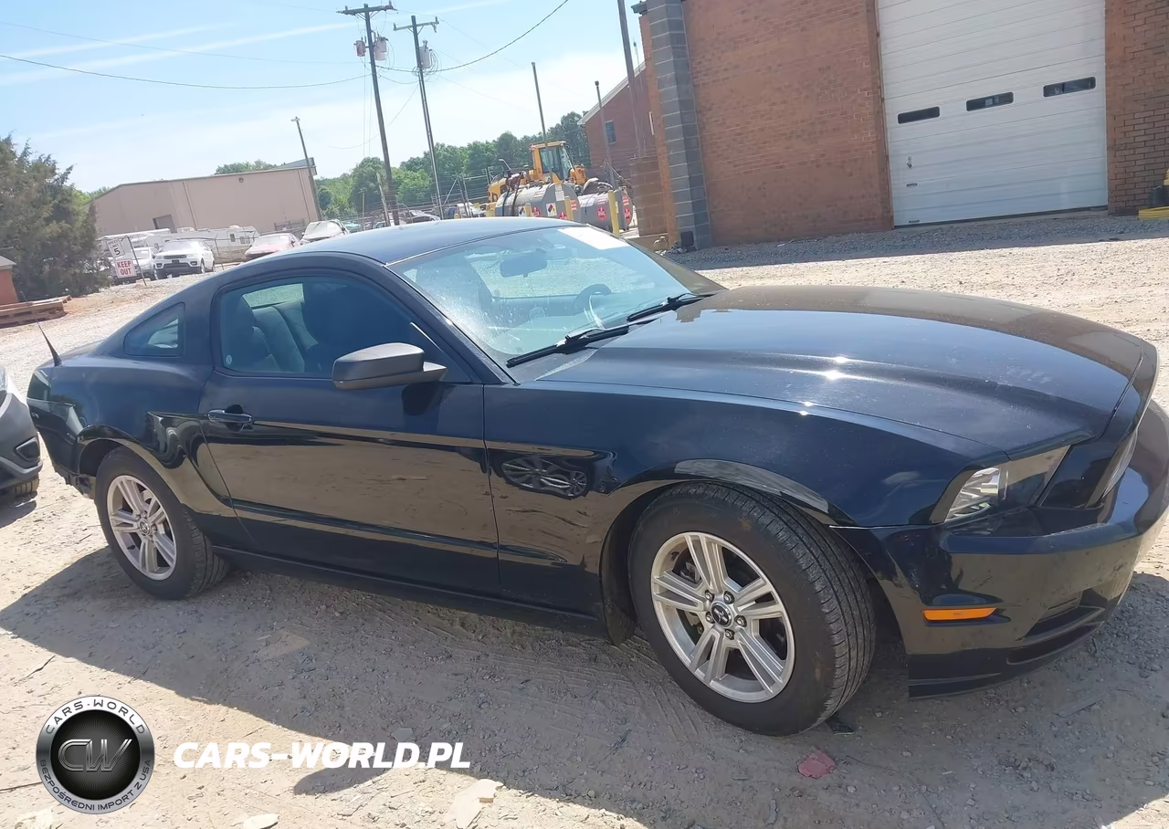 2014 Ford Mustang V6 VIN:1ZVBP8AM5E5324444 - 13