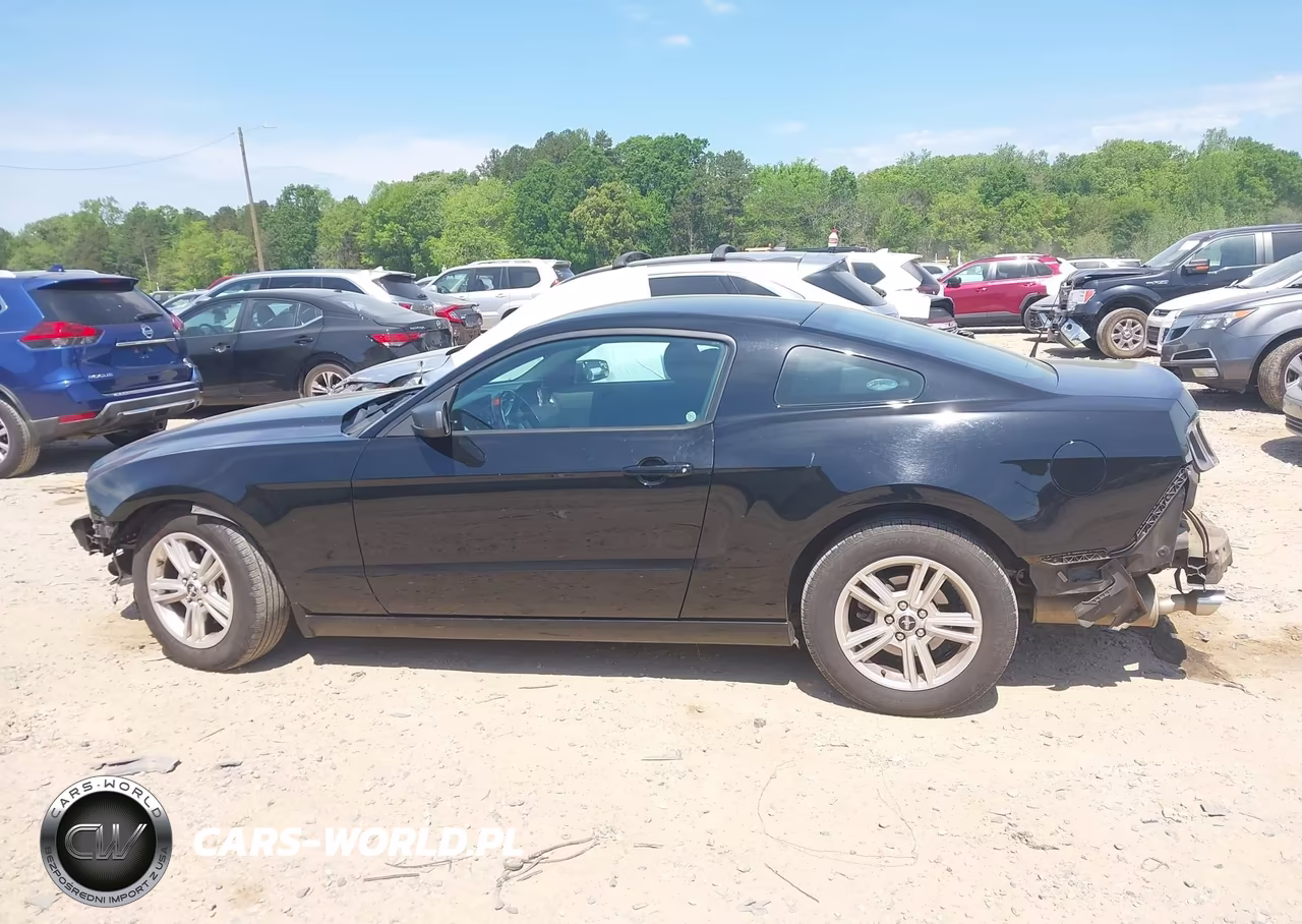 2014 Ford Mustang V6 VIN:1ZVBP8AM5E5324444 - 14