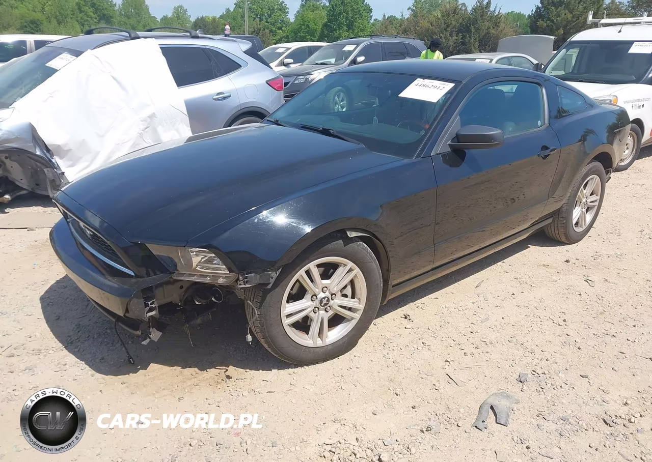 2014 Ford Mustang V6 VIN:1ZVBP8AM5E5324444 - 2