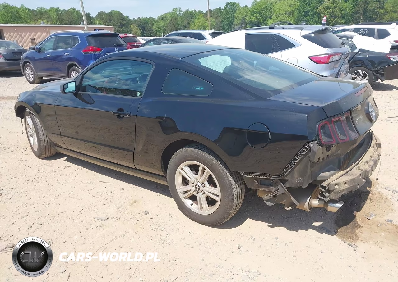 2014 Ford Mustang V6 VIN:1ZVBP8AM5E5324444 - 3