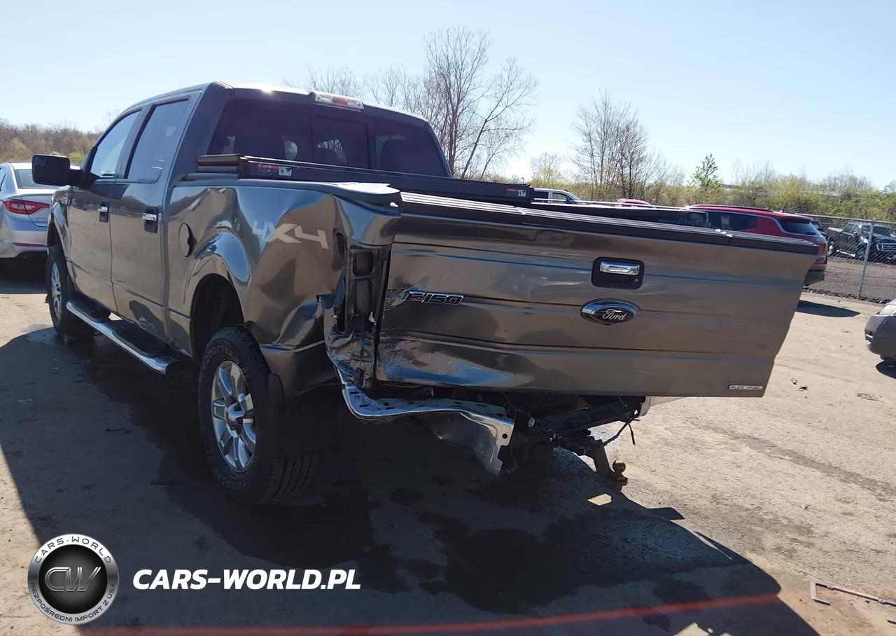 2013 Ford F-150 Xlt VIN:1FTFW1EF1DKF35649 - 6