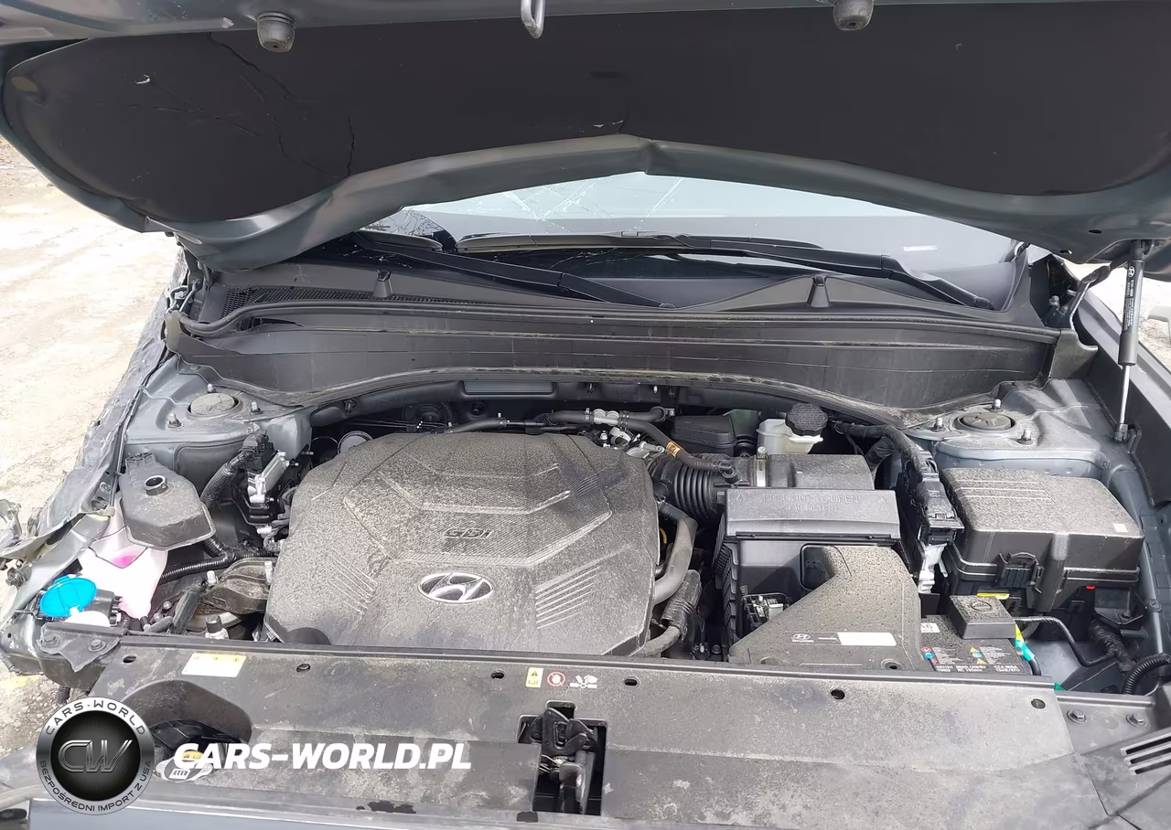 2025 Hyundai Palisade Sel VIN:KM8R2DGE7SU882124 - 10