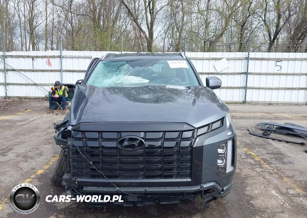 2025 Hyundai Palisade Sel VIN:KM8R2DGE7SU882124 - 13