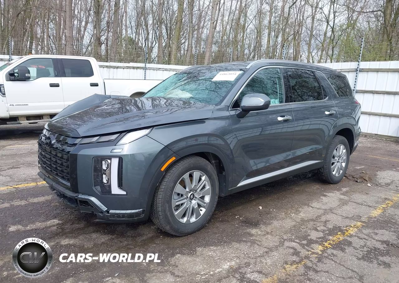 2025 Hyundai Palisade Sel VIN:KM8R2DGE7SU882124 - 2