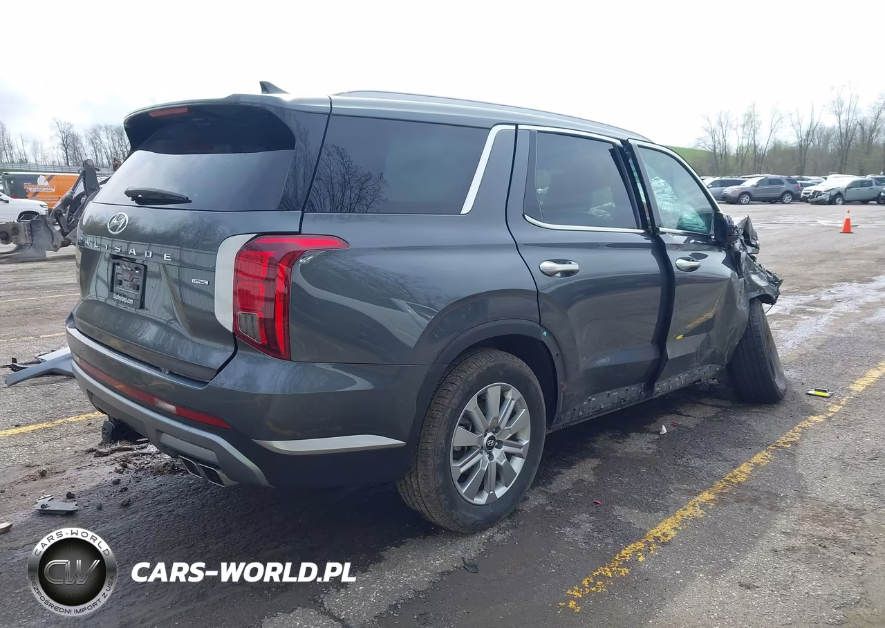 2025 Hyundai Palisade Sel VIN:KM8R2DGE7SU882124 - 4