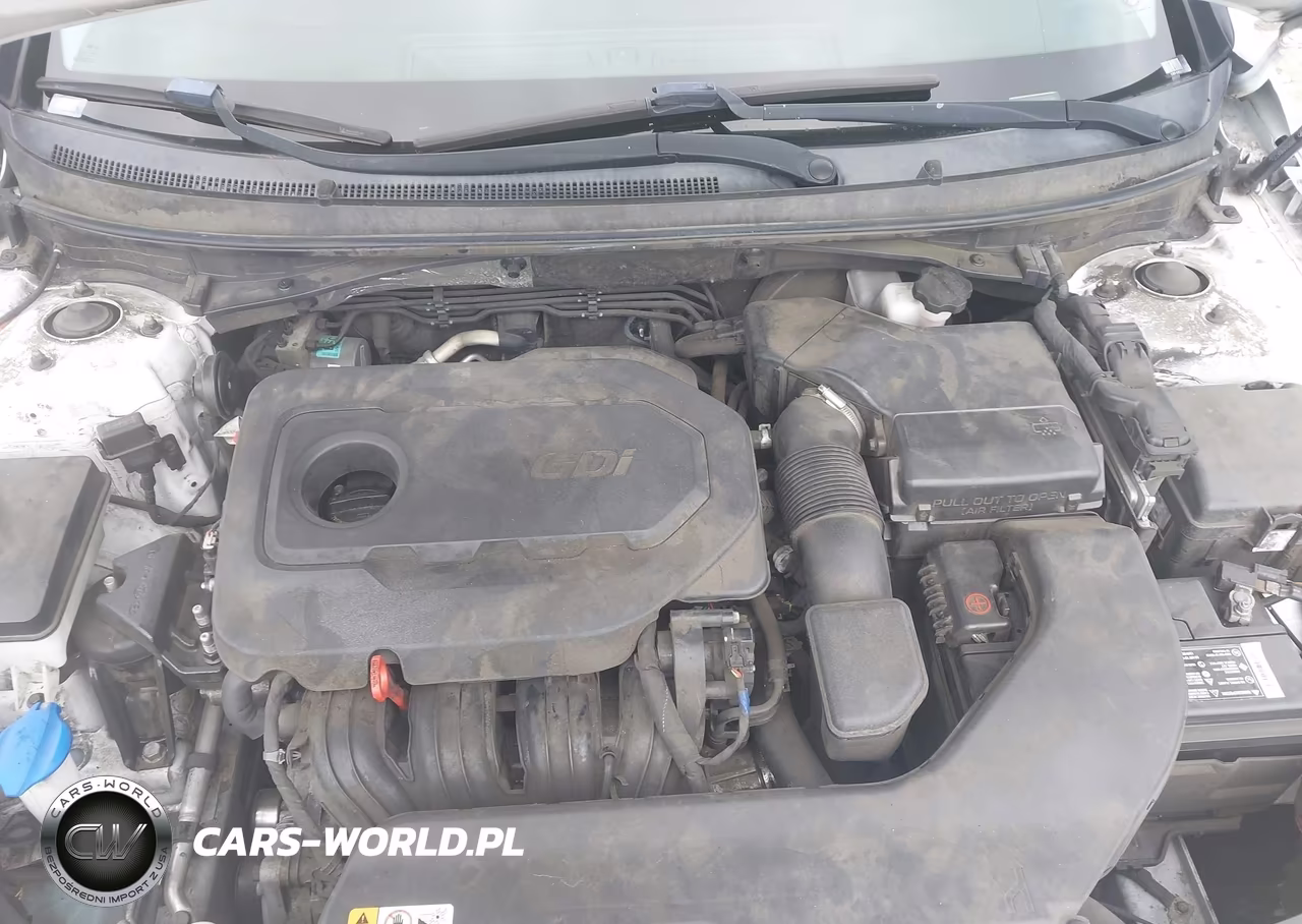2016 Hyundai Sonata Se VIN:5NPE24AF9GH376994 - 10