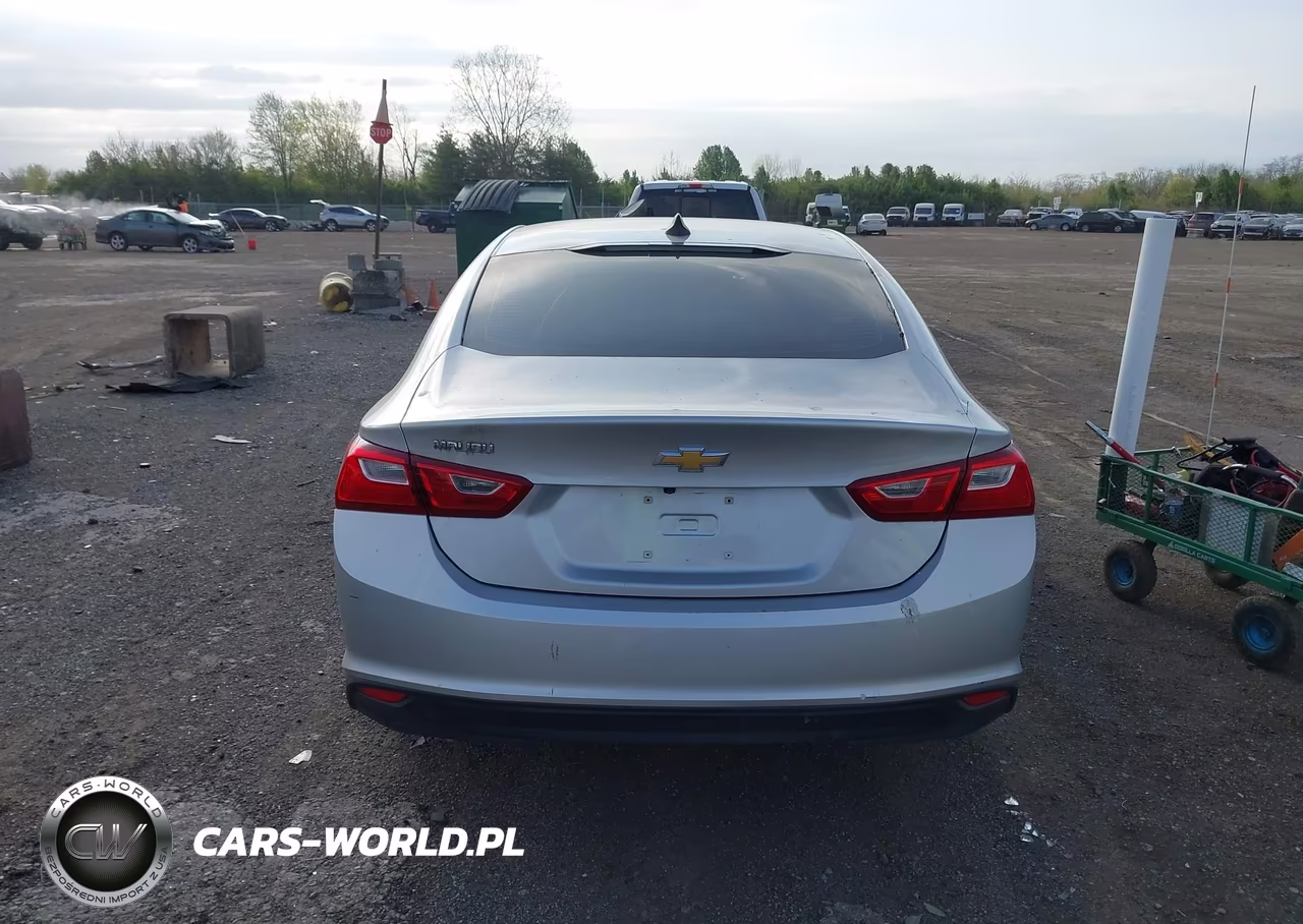 2020 Chevrolet Malibu Fwd 1Fl VIN:1G1ZC5ST4LF003643 - 16