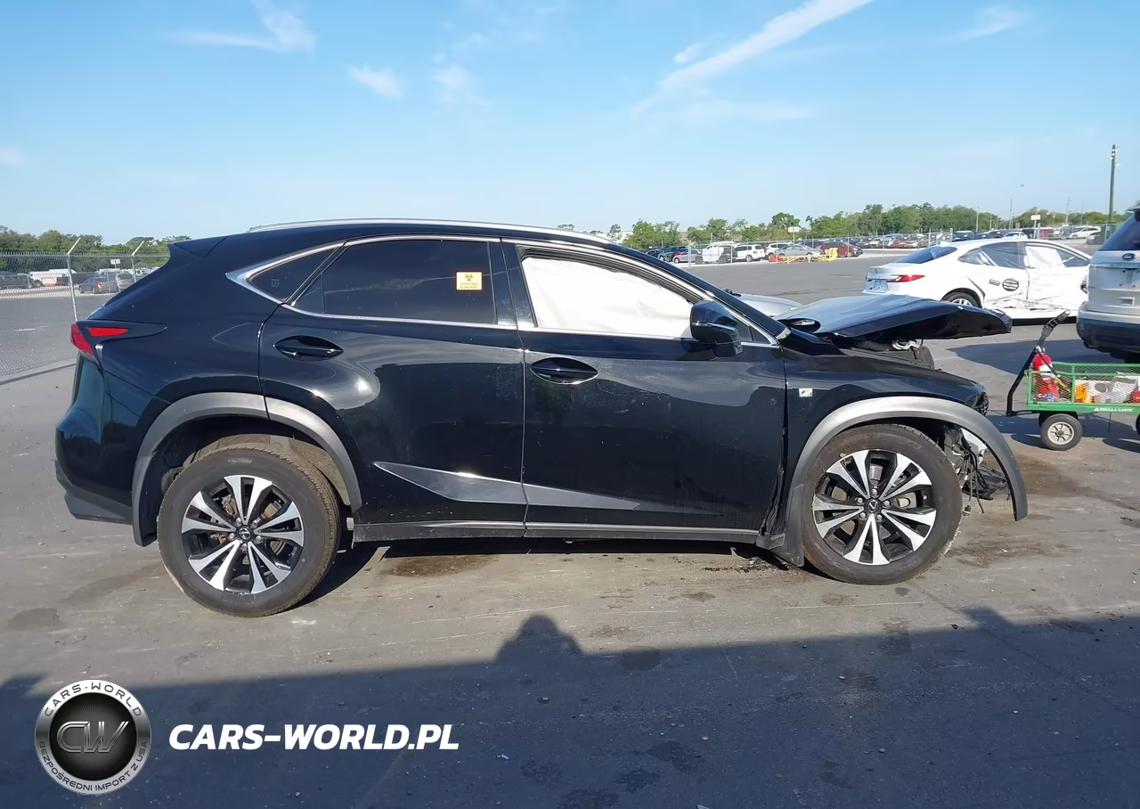 2019 Lexus Nx 300 F Sport VIN:JTJBARBZ9K2185899 - 12