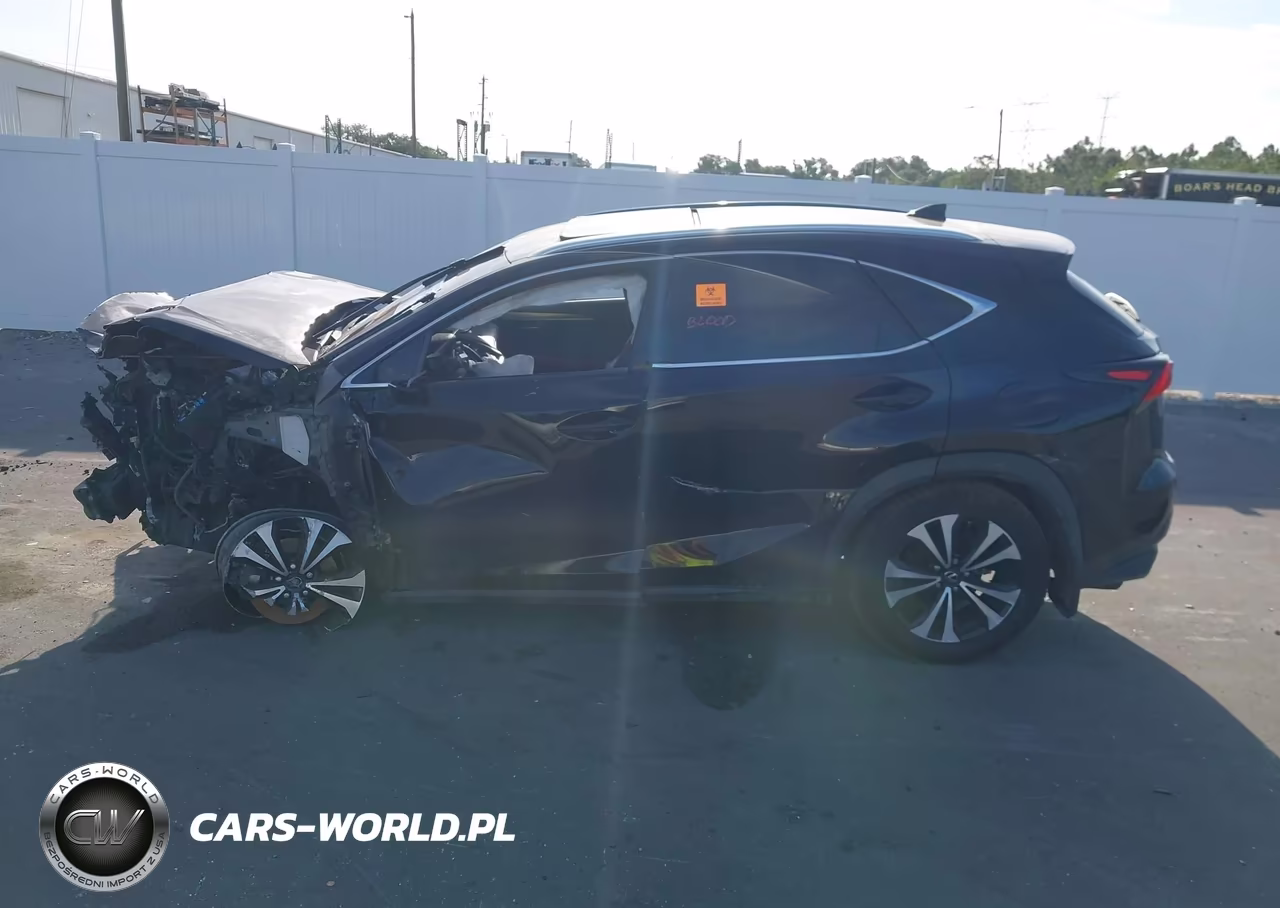 2019 Lexus Nx 300 F Sport VIN:JTJBARBZ9K2185899 - 13